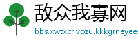 敌众我寡网